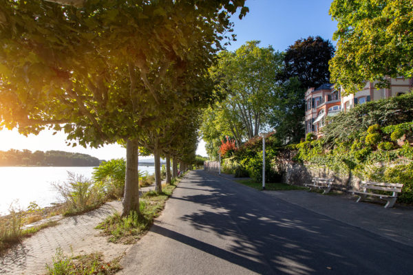 Promenade Biebrich