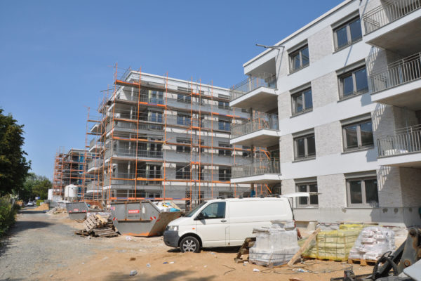 DSC_0199-web